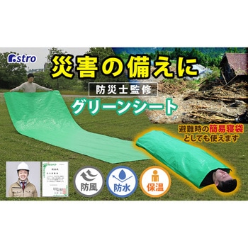 ハトメ付きグリーンシート 190×580cm アストロ