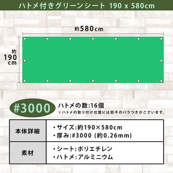 ハトメ付きグリーンシート 190×580cm アストロ