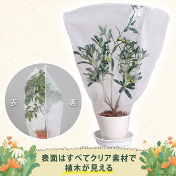 植木が見える 不織布防虫・霜よけカバー 5枚組 アストロ