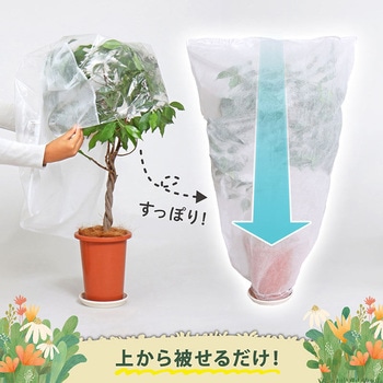 植木が見える 不織布防虫・霜よけカバー 5枚組 アストロ