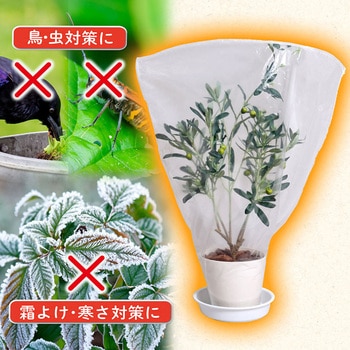 植木が見える 不織布防虫・霜よけカバー 5枚組 アストロ