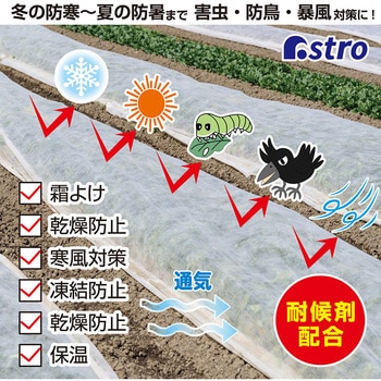 虫よけ・霜よけ保護シート 1.6×5m アストロ