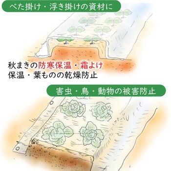 家庭菜園・園芸用 不織布シート1.6*10 アストロ