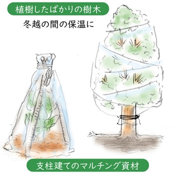 家庭菜園・園芸用 不織布シート1.6*10 アストロ