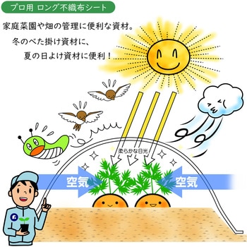 家庭菜園・園芸用 不織布シート1.6*10 アストロ
