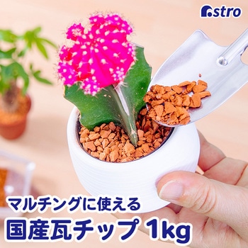 瓦チップ1キロ アストロ