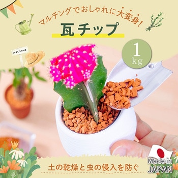 瓦チップ1キロ アストロ