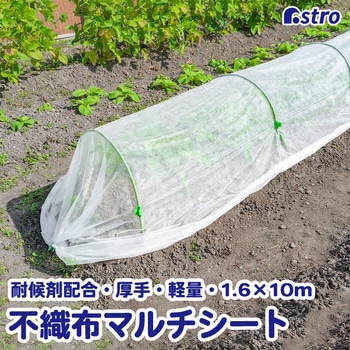 虫よけ・霜よけ保護シート(園芸用 不織布シート) 1.6×10m アストロ