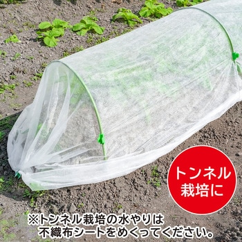虫よけ・霜よけ保護シート(園芸用 不織布シート) 1.6×10m アストロ