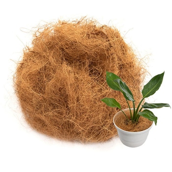 ココヤシファイバー 100g アストロ