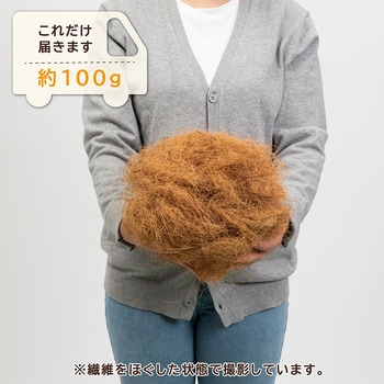 ココヤシファイバー 100g アストロ