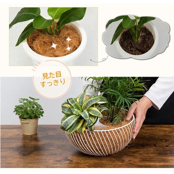 ココヤシファイバー 100g アストロ