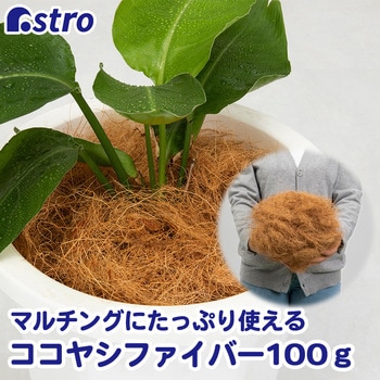 ココヤシファイバー 100g アストロ