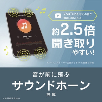 iPad(A16 / 第10世代)[Turtle Sound] ハイブリッドケース クリア トリニティ