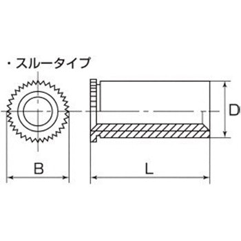 TDFS-M5-10 ZtN`OXy[T[(X[^Cv) TDFS (XeX) {[ZC ĂM5S10mm 1(1000{) 59127218