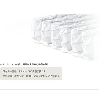 ヘッドリクライニング座椅子 NECK セルタン