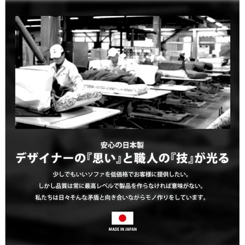 コンパクトソファ SUICA 1P セルタン