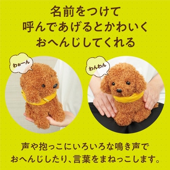 よんで!だっこして!おへんじアニマル2 アーテック[学校教材・教育玩具]