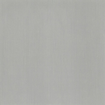 ロイヤルストーン・モア(450mm×450mm) 東リ