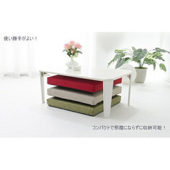 カバーが洗える IMONIA 座布団 セルタン