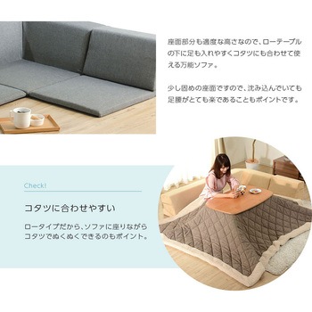 ローソファ3点セット 和楽のHIKARI セルタン