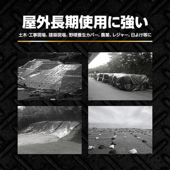 ターピー ロイヤルUVメタリックシルバー 萩原工業
