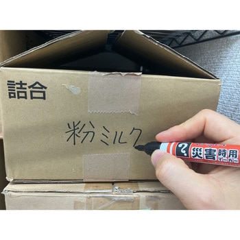 マジックインキ災害時用マーカー極太・中字 2本パック 寺西化学