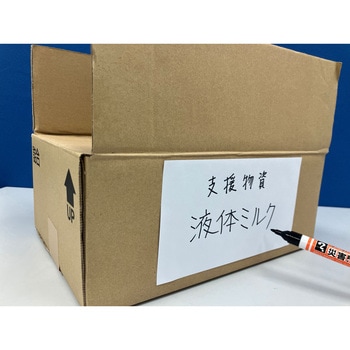 マジックインキ災害時用マーカー極太・中字 2本パック 寺西化学