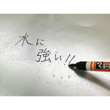 マジックインキ災害時用マーカー極太・中字 2本パック 寺西化学