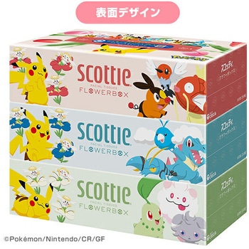 スコッティ ティッシュペーパー フラワーボックス 日本製紙クレシア