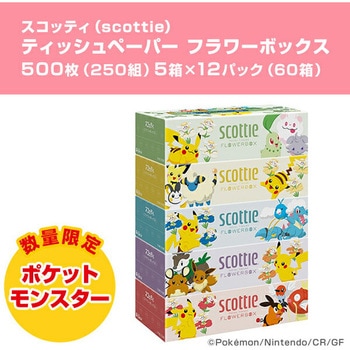スコッティ ティッシュペーパー フラワーボックス 日本製紙クレシア