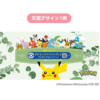 スコッティ ティッシュペーパー フラワーボックス 日本製紙クレシア