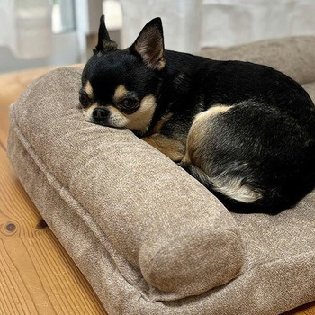 ペットベッド ペットソファ 猫用ベッド 犬用ベッド L字型 京都絞