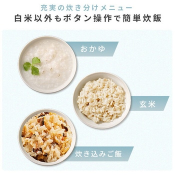 炊飯器 3合 5.5合 マイコン式炊飯器 3合炊き 5.5合炊き 一人暮らし マイコン炊飯器 低温調理 温度調理 YAMAZEN(山善)