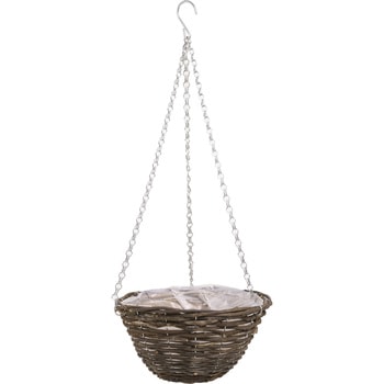 バインハンギングバスケット SG Wonder zone