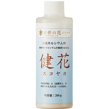 健花 甘彩六花