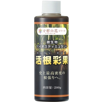 活根彩果 甘彩六花
