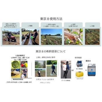 東京8 - 太陽油化