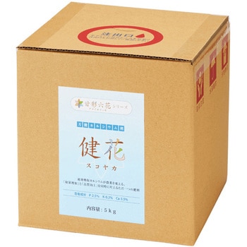 健花 甘彩六花