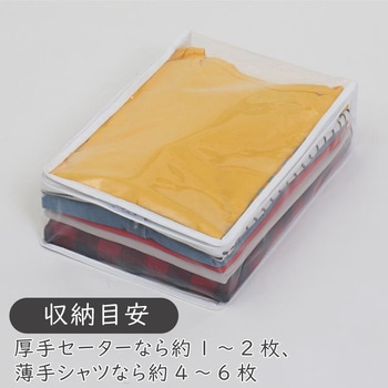 このサイズが欲しかった!高10cm 衣類整理袋 クリア 2枚組 アストロ