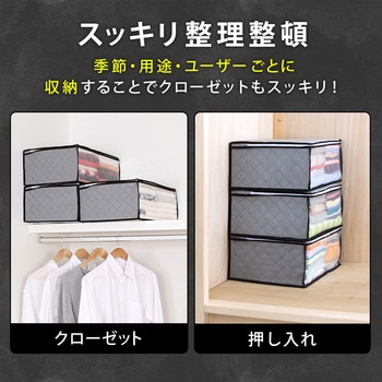 活性炭衣類整理袋 2枚組 アストロ