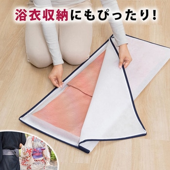 着物保管袋 2枚組 - アストロ
