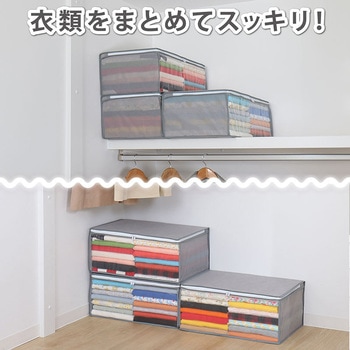 衣類整理袋3枚組(シンプルグレイ) アストロ