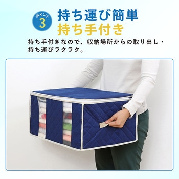消臭衣類整理袋 紺 2枚組 アストロ
