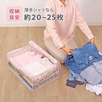 衣類整理袋 チューリップ 4枚組 アストロ