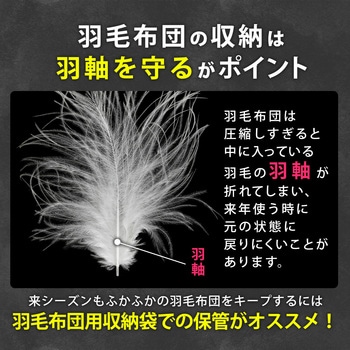 活性炭 羽毛布団収納ケース 2枚組 アストロ