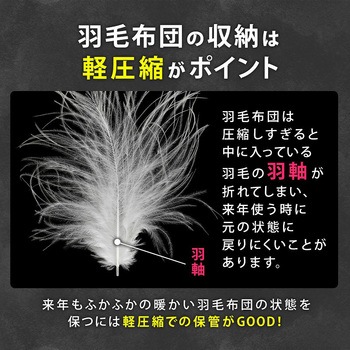 活性炭羽毛布団保存ケース2枚組 アストロ