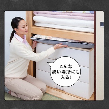 活性炭羽毛布団保存ケース2枚組 アストロ