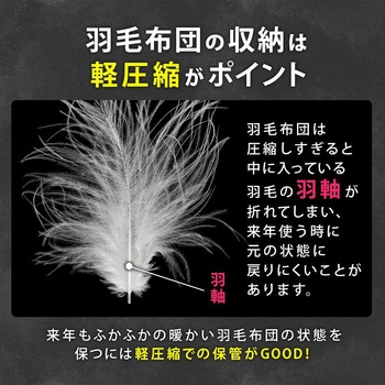 活性炭持ち手付羽毛布団保存ケース 2枚組 アストロ