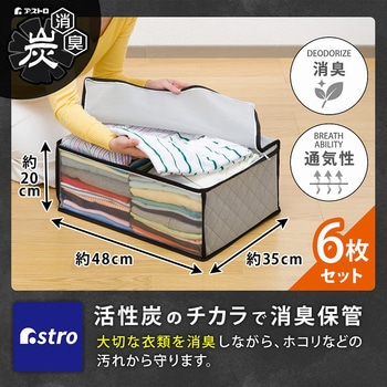 活性炭衣類整理袋 6枚組 アストロ